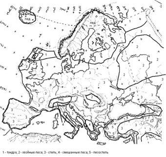 Claw.ru | Рефераты по биологии | История развития растительного покрова в Европе за последние 150 000 лет