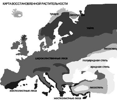 Claw.ru | Рефераты по биологии | История развития растительного покрова в Европе за последние 150 000 лет