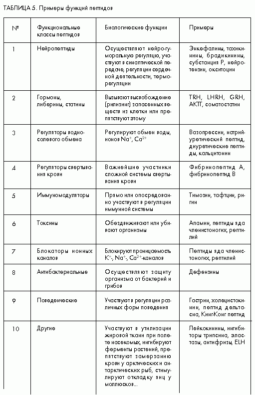 Claw.ru | Рефераты по биологии | Блистающий мир белков и пептидов