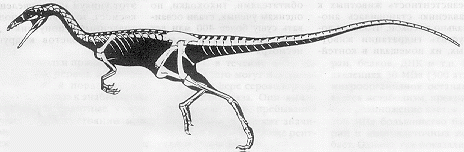 Claw.ru | Рефераты по биологии | Динозавры из Подмосковья