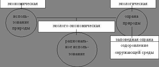 Claw.ru | Рефераты по экологии | Загрязнение окружающей среды