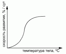 Claw.ru | Рефераты по экологии | Экологические группы организмов