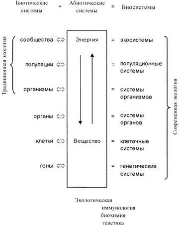 Claw.ru | Рефераты по экологии | Экология, иммунитет, здоровье