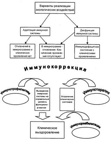 Claw.ru | Рефераты по экологии | Экология, иммунитет, здоровье