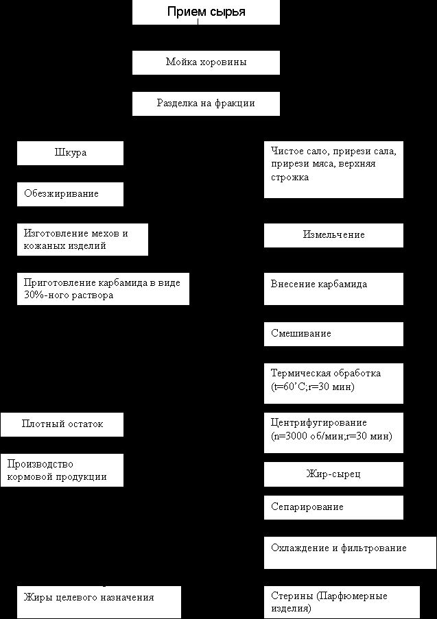 Claw.ru | Рефераты по экологии | Нерпа - Эндемик Байкала