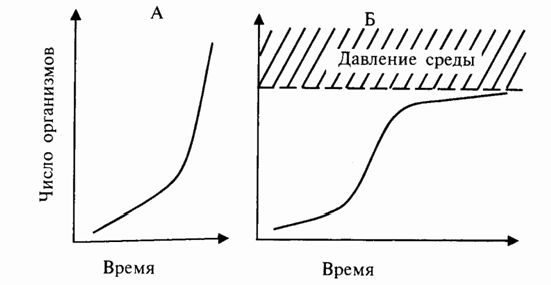 Claw.ru | Рефераты по экологии | Экология популяций