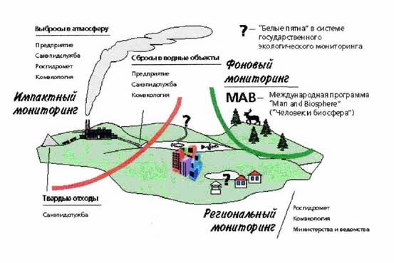 Claw.ru | Рефераты по экологии | Экология популяций