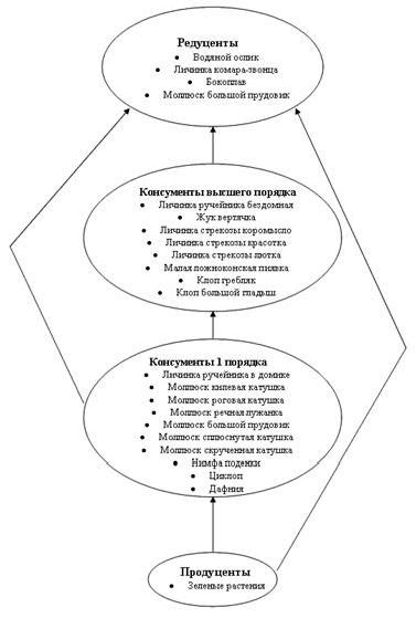 Claw.ru | Рефераты по экологии | Оценка экологического состояния реки Клязьма методом биоиндикации