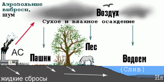 Claw.ru | Рефераты по экологии | Воздействие атомных станций на окружающую среду