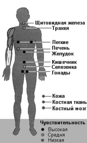 Claw.ru | Рефераты по экологии | Воздействие атомных станций на окружающую среду