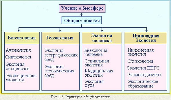 Claw.ru | Рефераты по экологии | Экология. Определение и содержание