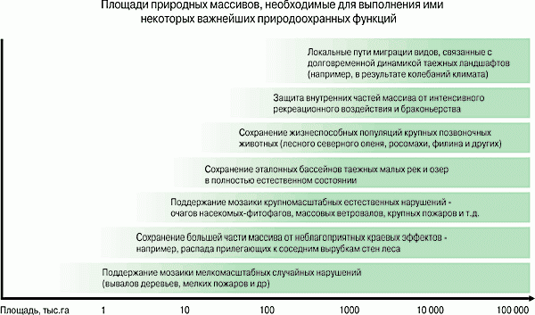 Claw.ru | Рефераты по экологии | Природная ценность крупных таежных территорий