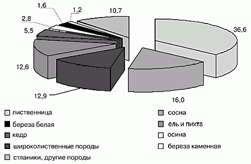 Claw.ru | Рефераты по экологии | Охрана лесов: цифры и реальность