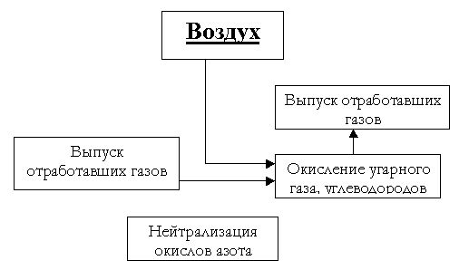 Claw.ru | Рефераты по экологии | Современная экология и ее проблемы