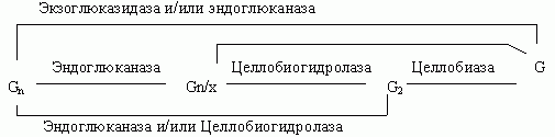 Claw.ru | Рефераты по экологии | Переработка ТПО** и ТБО после проведения сепарации ТБО по группам