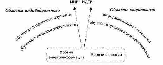 Claw.ru | Рефераты по эргономике | Феномен образования в меняющемся обществе