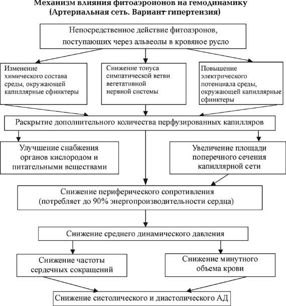 Claw.ru | Рефераты по физкультуре и спорту | Отдых спортсмена как фактор повышения его работоспособности