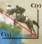 Claw.ru | Рефераты по физкультуре и спорту | Механика прыжка лошади