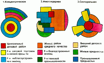 Claw.ru | Рефераты по географии | Экономическая структура и микро география города