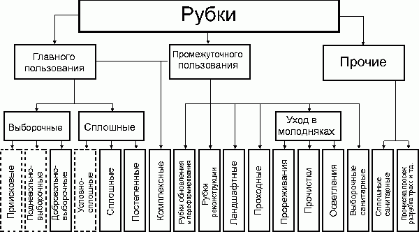 Claw.ru | Рефераты по географии | Современная система лесопользования