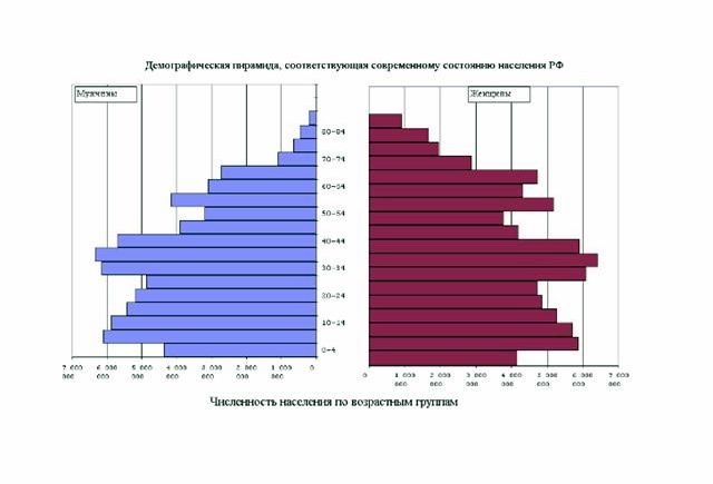 Claw.ru | Рефераты по географии | Воспроизводство населения России и его перспективы