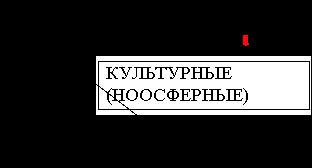 Claw.ru | Рефераты по географии | Комплексное освоение прибрежной зоны Черного моря – важнейший фактор ее устойчивого развития