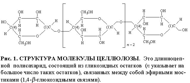 Claw.ru | Биология и химия | Целлюлоза