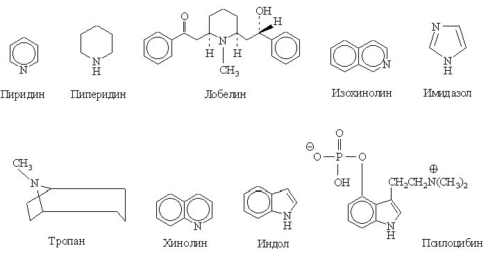 Claw.ru | Биология и химия | Алкалоиды