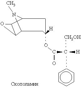 Claw.ru | Биология и химия | Алкалоиды