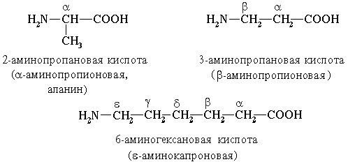 Claw.ru | Биология и химия | Аминокислоты, их классификация
