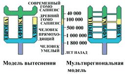 Claw.ru | Биология и химия | Гомо сапиенс и геном