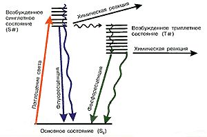 Claw.ru | Биология и химия | Защита от Солнца