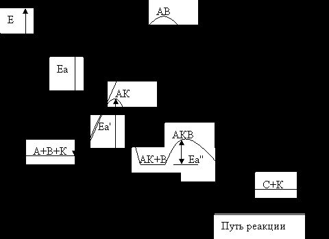 Claw.ru | Биология и химия | Химическая кинетика и равновесие в гомогенных системах