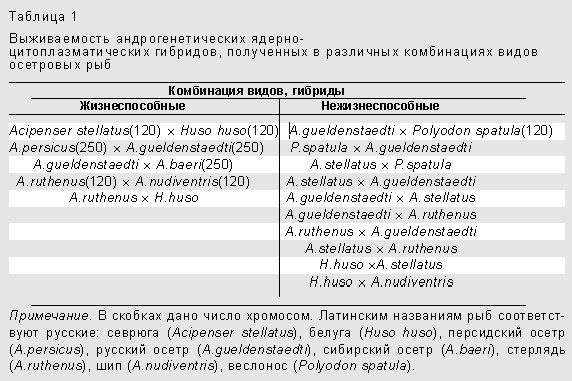 Claw.ru | Биология и химия | Андрогенез у рыб, или Только из мужского семени