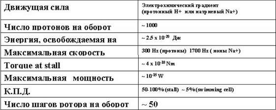 Claw.ru | Биология и химия | Молекулярные машины