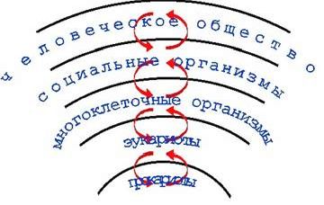 Claw.ru | Биология и химия | Ранние этапы эволюции жизни