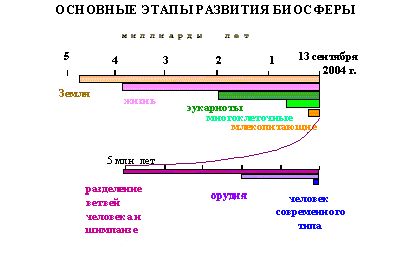 Claw.ru | Биология и химия | Основные этапы развития биосферы на Земле