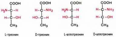 Claw.ru | Биология и химия | Общие свойства аминокислот