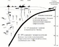 Claw.ru | Рефераты по геологии | Природа геохимической зональности вкрест простирания Камчатской островной дуги