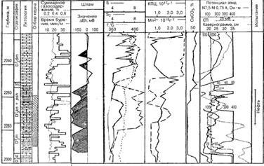 Claw.ru | Рефераты по геологии | Методы оперативного изучения геологического разреза нефтегазовых скважин