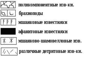 Claw.ru | Рефераты по геологии | Брахиоподы ассельского яруса