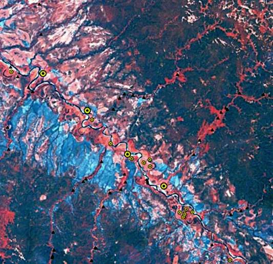 Claw.ru | Рефераты по геологии | Общая характеристика лесов Европейского Севера России