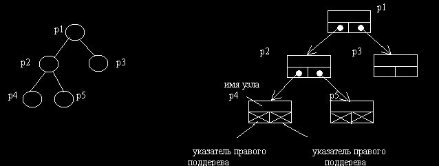 Claw.ru | Рефераты по информатике, программированию | Ссылочные типы. Динамические переменные