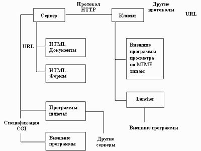 Claw.ru | Рефераты по информатике, программированию | Характеристика системы WWW в сети Internet