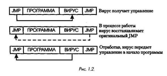 Claw.ru | Рефераты по информатике, программированию | СОМ-вирусы