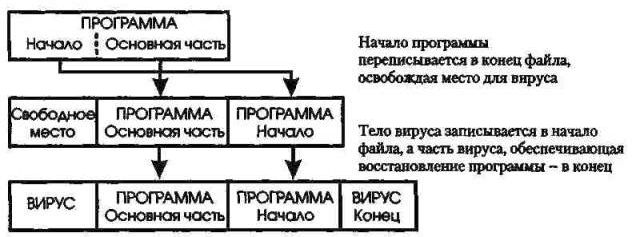 Claw.ru | Рефераты по информатике, программированию | СОМ-вирусы