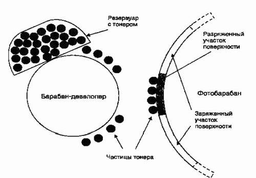 Claw.ru | Рефераты по информатике, программированию | Лазерный принтер