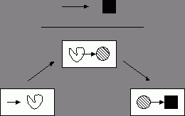 Claw.ru | Рефераты по маркетингу | Менеджмент