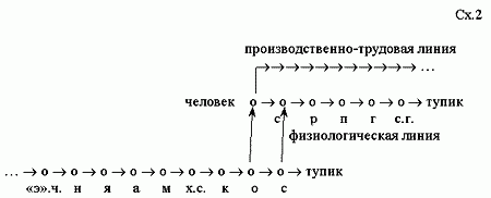 Claw.ru | Рефераты по математике | Общая теория эволюции и матрешечная парадигма строительства мироздания