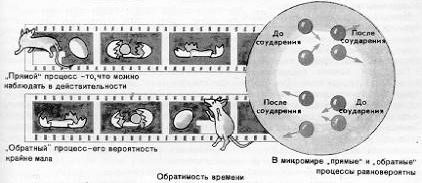 Claw.ru | Рефераты по математике | Спонтанное нарушение симметрии